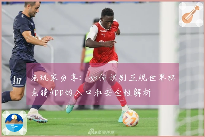 老玩家分享：如何识别正规世界杯竞猜App的入口和安全性解析