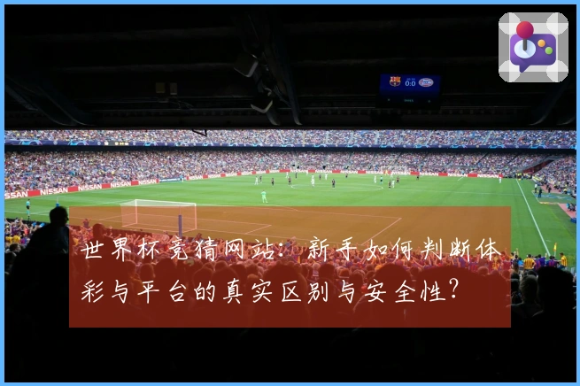世界杯竞猜网站：新手如何判断体彩与平台的真实区别与安全性？