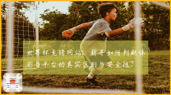 世界杯竞猜网站：新手如何判断体彩与平台的真实区别与安全性？